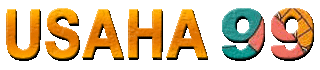 Usaha99